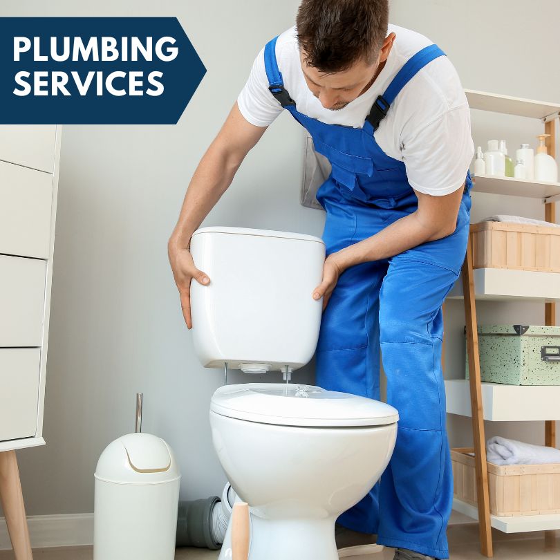 Plumbing Company in Cohoctah, MI